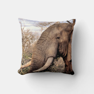Coussin L'Art des Amateurs d'éléphants
