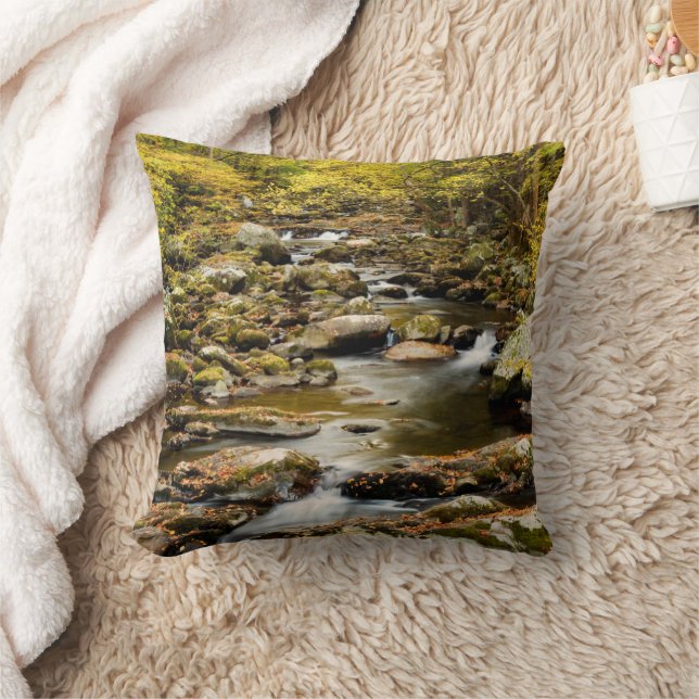 Coussin L'automne à Big Creek (Couverture)