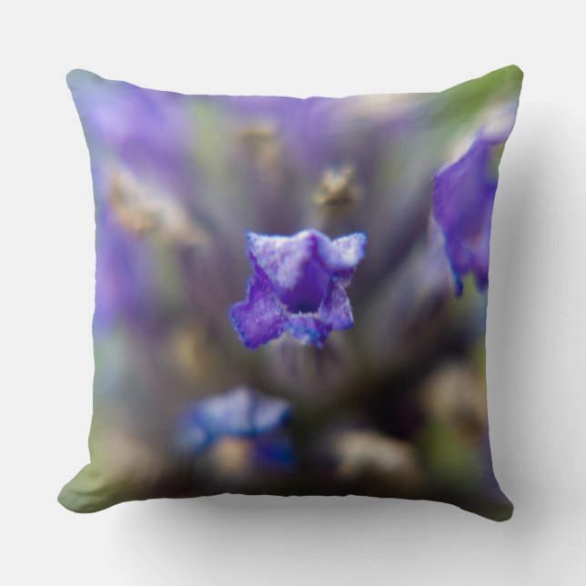 Coussin Lavande Douce (Recto)