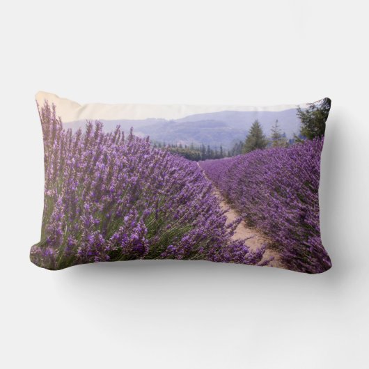 Coussin Lavender Field (Recto)