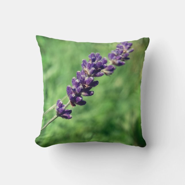 Coussin Lavender Stalk Photo Thailler (Recto)