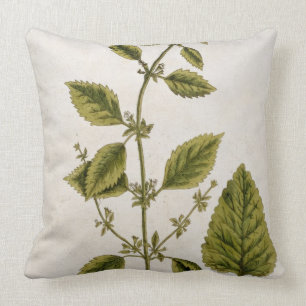 Coussin Le baume, plaquent 27 "d'un de fines herbes