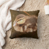 Coussin Le bébé penche des animaux Mallard de faune (Couverture)