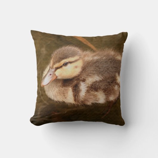 Coussin Le bébé penche des animaux Mallard de faune (Recto)
