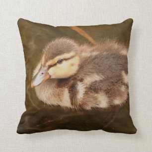 Coussin Le bébé penche des animaux Mallard de faune