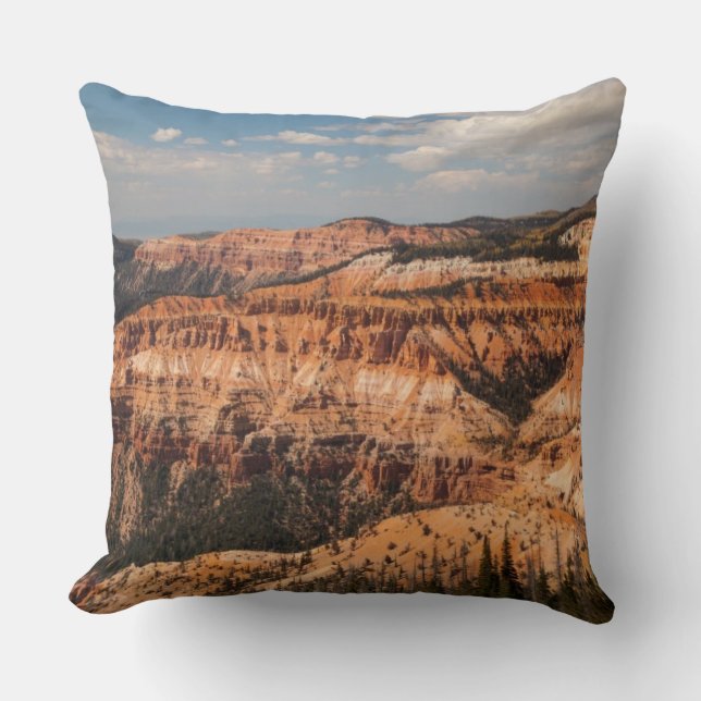 Coussin Le cèdre casse le monument national, Utah (Recto)