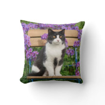 Le chat de Tuxedo assis sur une chaise de jardin a