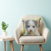 Coussin Le chaton monte un vélo (Chaise)