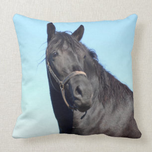 Coussin Le Cheval Noir Et Le Ciel Bleu