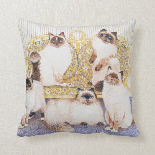 Coussin Le chocolat écrème