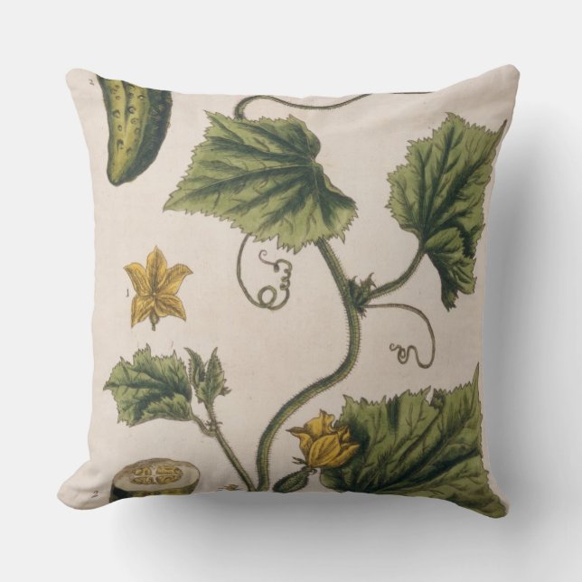 Coussin Le concombre de jardin, plaquent 4 "d'un de fines (Recto)