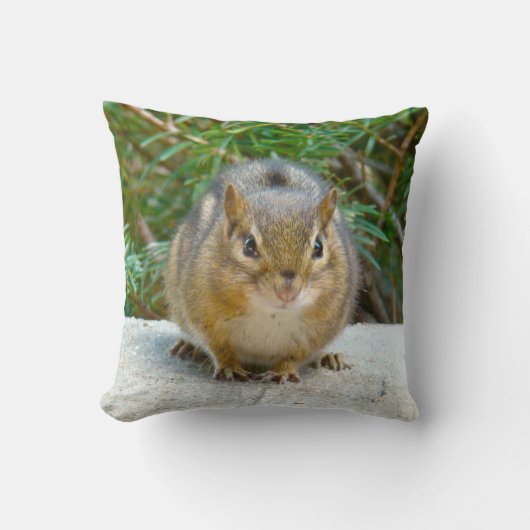 Coussin Le Cute Chipmunk A L'Oeil Sur Vous (Recto)