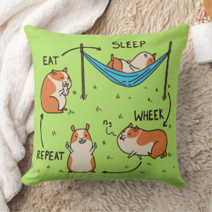 Coussin Le cycle de vie d'un cobaye