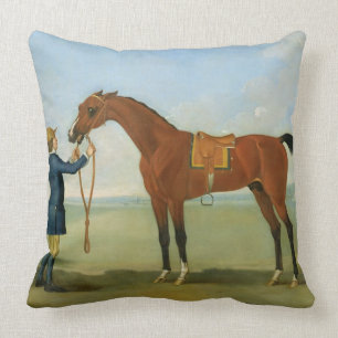 Coussin Le duc du vol Childers, 1742 de Devonshire (oi