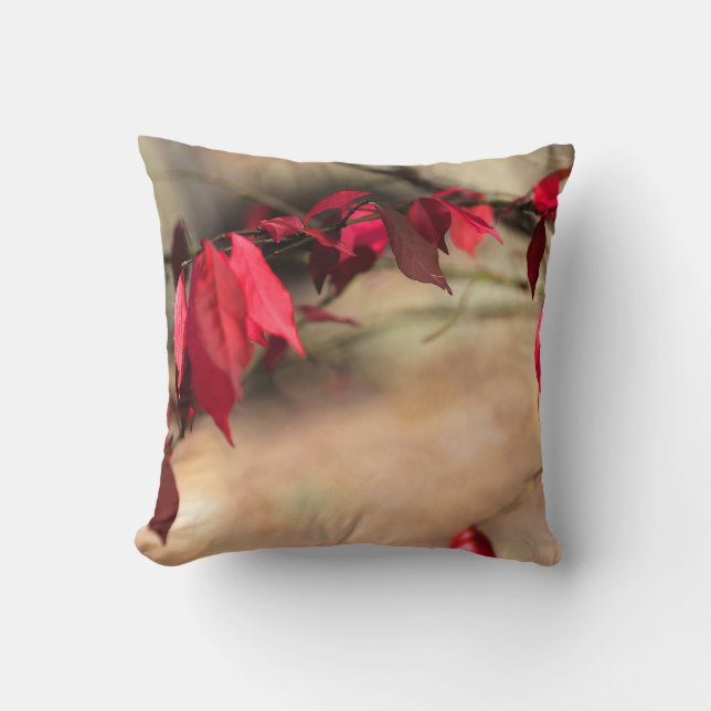 Coussin Le feuillage d'automne de Burning Bush - Euonymus  (Recto)