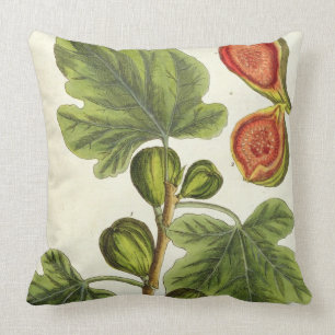 Coussin Le figuier, plaquent 125 "d'un de fines herbes