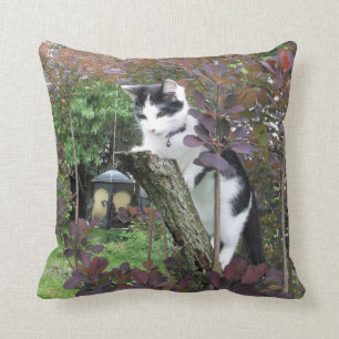 Coussin Le grignoteur