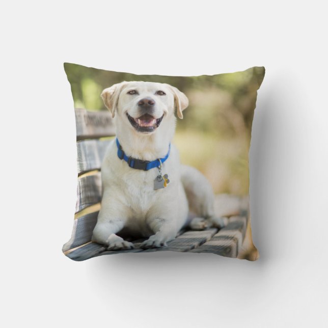 Coussin Le Labrador Jaune Est Sur Le Banc (Recto)