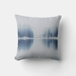 COUSSIN LE LAC FROID