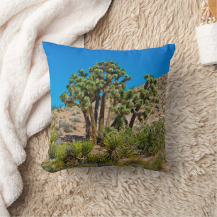 Coussin Le Monument national de Gold Butte