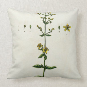 Coussin Le moût de St John, plaquent 15 "d'un de fines