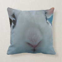 Le nez de lapin de MHRR ferment le carreau