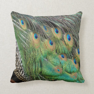Coussin Le paon fait varier le pas des couleurs vertes et