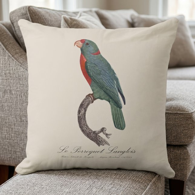 Coussin Le Perroquet Langlois de Jacques Barraband (Le Perroquet Langlois by Jacques Barraband. Throw Pillow)