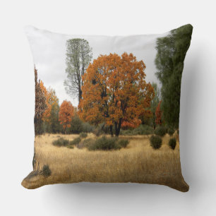 Coussin Le rassemblement....
