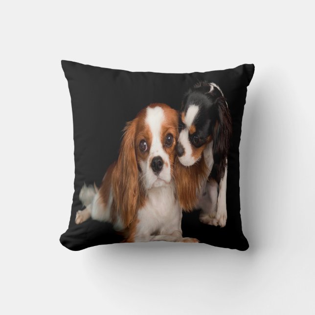 Coussin Le Roi Charles Cavalier Spaniel (Recto)