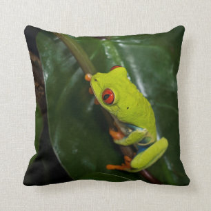 Coussin Le rouge observe la grenouille sur la tige