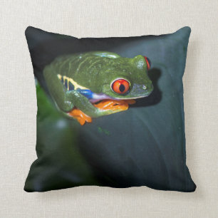 Coussin Le rouge observe la séance de grenouille