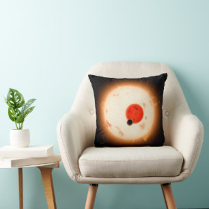 Coussin Le système Kepler-16.