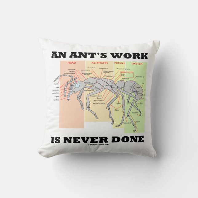 Coussin Le travail d'une fourmi n'est jamais fait (Anatomi (Recto)