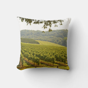 Coussin Le vignoble et une vallée avec une forêt