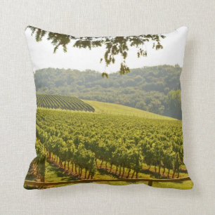 Coussin Le vignoble et une vallée avec une forêt