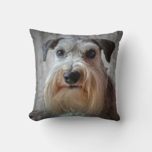Coussin Le visage de Schnauzer Dog