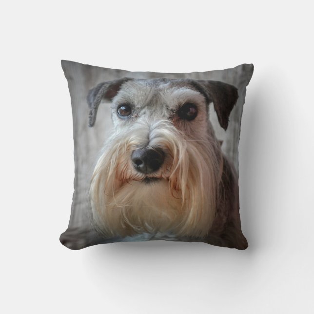 Coussin Le visage de Schnauzer Dog (Recto)