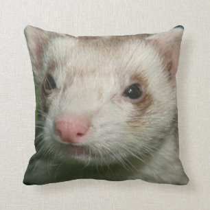 Coussin Le visage mignon de la fourrure