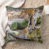 Coussin Leçons De Vie Mère Tigre Et Cubs (Couverture)