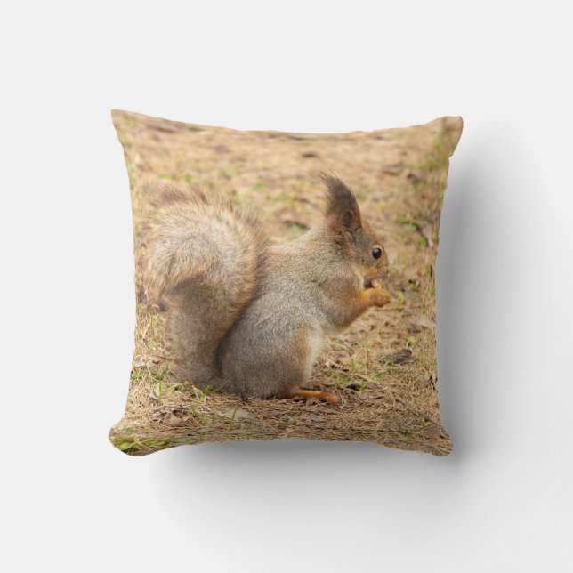 Coussin L'écureuil mignon mange une photo de noix (Recto)