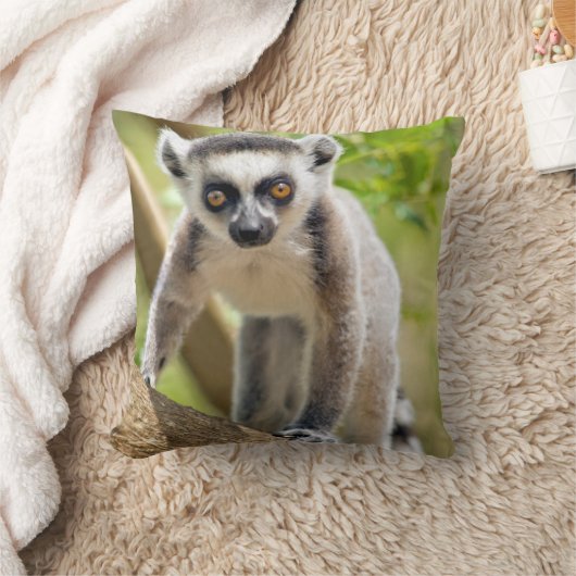 Coussin Lemur de bébé (Couverture)
