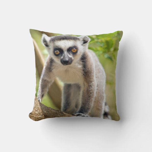 Coussin Lemur de bébé (Recto)