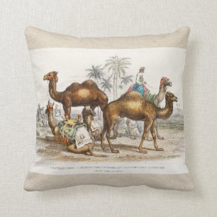 Coussin Les chameaux de l'Inde Illustration Vintage, 1820
