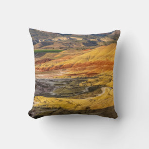 Coussin Les collines peintes dans les lits de fossiles de