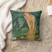 Coussin Les fées au clair de lune (Couverture)