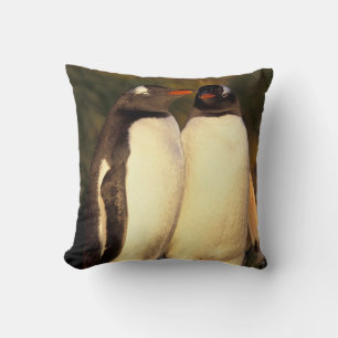 Coussin Les Malouines. Pingouins Gentoo. (Pyroscelis