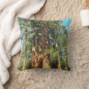 Coussin Les parcs nationaux de Sequoia et Kings Canyon
