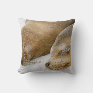 COUSSIN LES PHOQUES PROFITANT DU SOLEIL ET LES UNS LES AUT