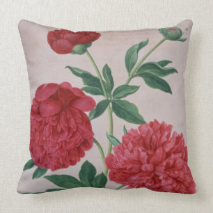 Coussin Les pivoines, plaquent 46 du Florilegium de Nassau